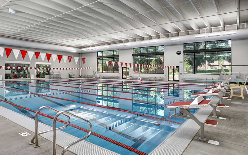 aquatic paradise pools & spas
